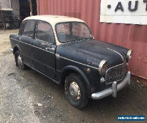 1960 Fiat 1100 for Sale