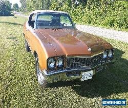 1972 Buick Skylark for Sale