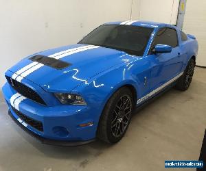 Ford: Mustang Shelby gt 500