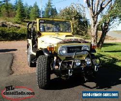 Toyota: Land Cruiser FJ40 for Sale