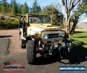 Toyota: Land Cruiser FJ40