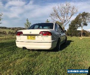 Holden vs commodore 