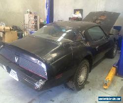 Pontiac Firebird Trans Am 1981 V8 Turbo for Sale