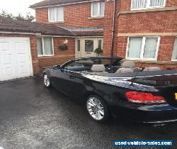 Black BMW Convertible  for Sale