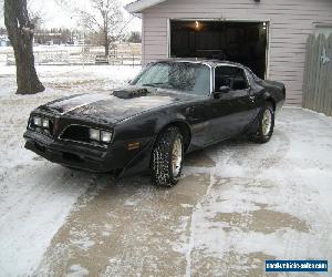 Pontiac: Firebird BANDIT CLONE