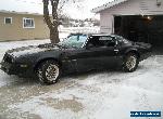 Pontiac: Firebird BANDIT CLONE for Sale