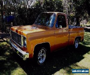 Chev / GMC C10 Pick Up