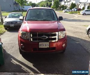 Ford: Escape XLT