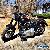 2013 Harley-Davidson Softail for Sale