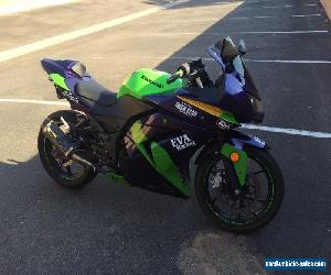 2010 Kawasaki Ninja