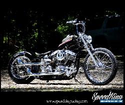 1977 Harley-Davidson SHOVELHEAD for Sale