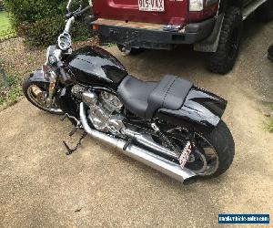 harley davidson v rod muscle 2011