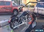 Harley Davidson 127ci for Sale