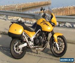 2005 Triumph Tiger for Sale