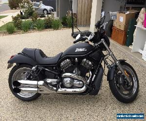 Harley Davidson Vrod V Rod Nightrod night rod 