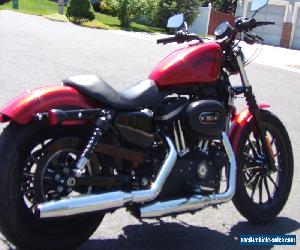 2013 Harley-Davidson Sportster