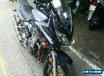 Suzuki Bandit 1200s Sports Touring Motorocycle for Sale