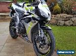 HONDA CBR600 - Hannspree Ltd Edition - Unmarked for Sale