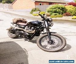 TRIUMPH SCRAMBLER 900 BLACK 2015 CUSTOM SC PROJECT EXHAUST 2600 MILES for Sale