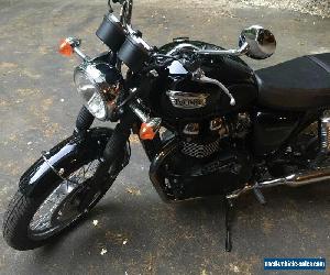 2013 Triumph Bonneville