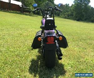 2010 Harley-Davidson Softail