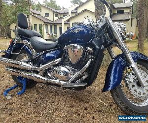 SUZUKI INTRUDER VL 800