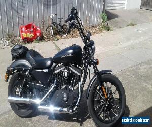 Harley Davidson 883 sportster for Sale