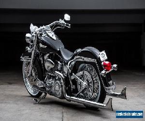 2009 Harley-Davidson Softail