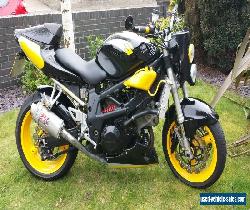 Suzuki TL1000S 1998  Custom Modified Street Fighter Widow Maker  for Sale