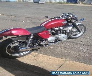 TRIUMPH THRUXTON 2004 SUIT BONNEVILLE BUYER 17,000 KLMS  for Sale