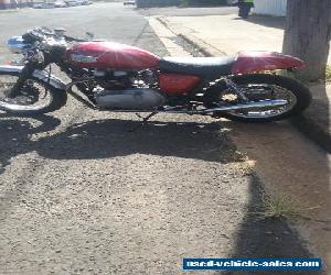 TRIUMPH THRUXTON 2004 SUIT BONNEVILLE BUYER 17,000 KLMS 