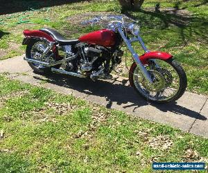 1981 Harley-Davidson Other