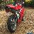 Ducati 999s for Sale