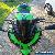 Kawasaki Ninja 300 Limited Edition for Sale