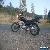 honda cb250 nighthawk black 250cc for Sale