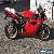 2000 Ducati Superbike for Sale