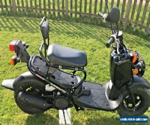 Honda Zoomer NPS50 Ruckus