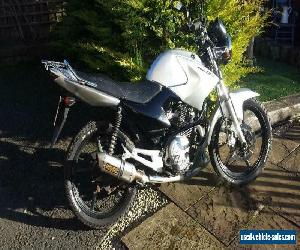 Yamaha YBR125 (2010) Learner legal - great condition, plus extras for Sale