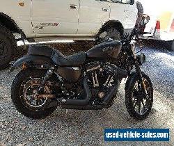 2017 883 harley davidson for Sale