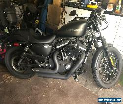 harley davidson iron 883 for Sale