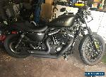 harley davidson iron 883 for Sale