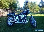 93 Harley Davidson fsxtc for Sale