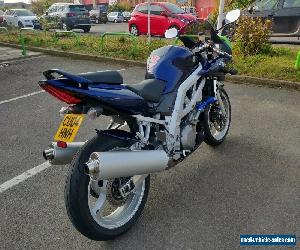 Suzuki SV1000S K4 2004 **Great Condition - Extensive Service History**