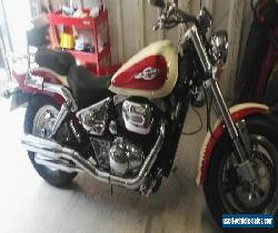 suzuki marauder 800 for Sale