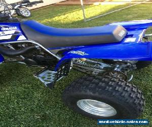 yamaha banshee 350 quad