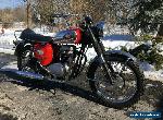 1965 BSA A65 for Sale