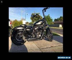 2014 Harley Davidson iron 883 for Sale