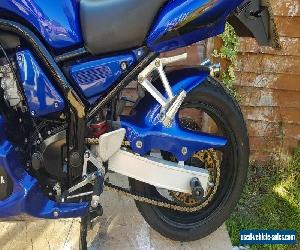 Beautiful Blue Yamaha Fazer 600 CUSTOM FAIRING 