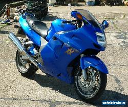 Honda CBR1100XX Super Blackbird for Sale