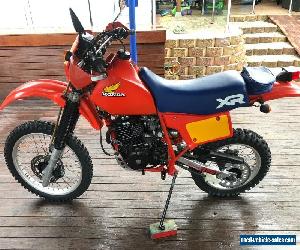 1984 Honda XR500R 